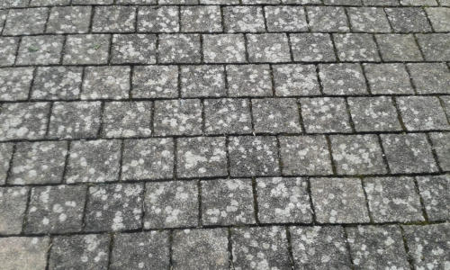 Gereinigte Pflasterfläche